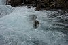 DSC03902.JPG