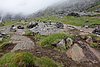 DSC03920.JPG