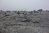 DSC03942.JPG