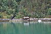 DSC03961.JPG