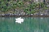 DSC03963.JPG