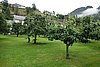 DSC04015.JPG