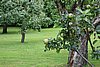 DSC04016.JPG