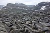 DSC04065.JPG