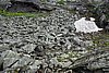 DSC04101.JPG