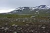 DSC04140.JPG