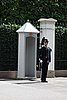 DSC04161.JPG