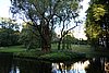 DSC04254.JPG