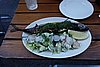 DSC04263.JPG