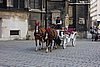 DSC03095.JPG