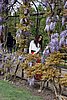 DSC03189.JPG