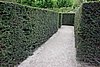 DSC03200.JPG