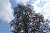DSC03209.JPG