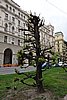 DSC03336.JPG
