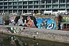DSC03343.JPG