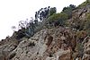 DSC04941.JPG