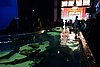 DSC04953.JPG