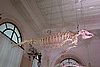 DSC04969.JPG