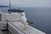 DSC04974.JPG
