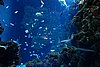 DSC04976.JPG