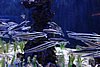 DSC04983.JPG
