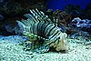 DSC04991.JPG