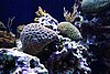 DSC04993.JPG