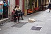 DSC05131.JPG