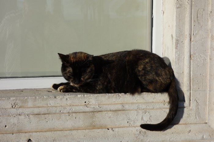 DSC04638.JPG