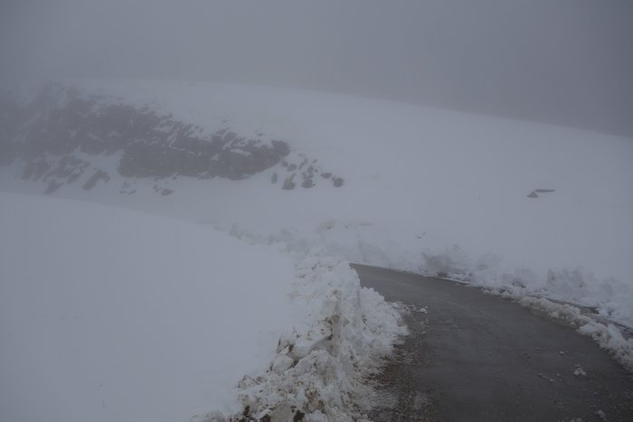 DSC04809.JPG