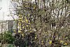 DSC04576.JPG