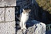 DSC04635.JPG