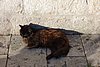 DSC04636.JPG
