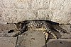 DSC04637.JPG