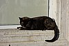 DSC04638.JPG