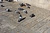 DSC04664.JPG