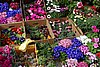 DSC04701.JPG