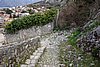 DSC04705.JPG