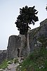 DSC04724.JPG