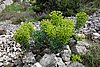 DSC04745.JPG