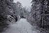 DSC04786.JPG
