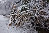 DSC04787.JPG