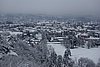 DSC04789.JPG