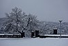 DSC04797.JPG
