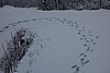 DSC04798.JPG