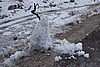 DSC04810.JPG
