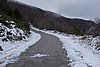 DSC04811.JPG