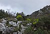 DSC04815.JPG
