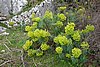 DSC04816.JPG