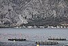 DSC04819.JPG